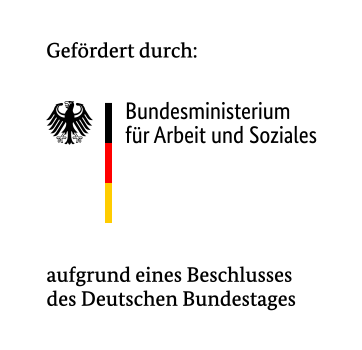 Logo des Bundesministeriums für Arbeit und Soziales, Förderer des Projektes Systemcheck aufgrund eines Beschlusses des Deutschen Bundestages